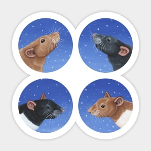 Christmas Rat Designs Sticker